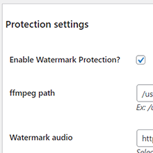 Audio Files Protection
